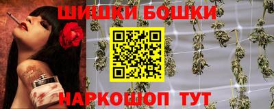 прущие грибы Ярославль