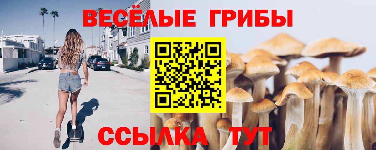 закладки  Вход с VPN  Псилоцибиновые грибы ЛСД  Бийск  Галлюциногенные грибы Psilocybe 